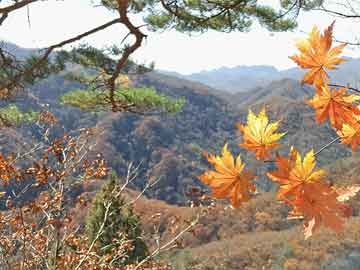 任城区意外保险公司电话,任城区意外保险公司电话号码